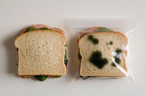 anti-theft-lunch-bags