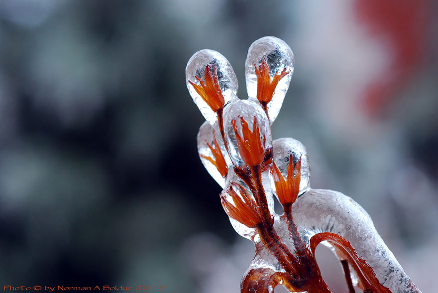 winter-art-see-the-most-amazing-ice-and-snow-formations-73947
