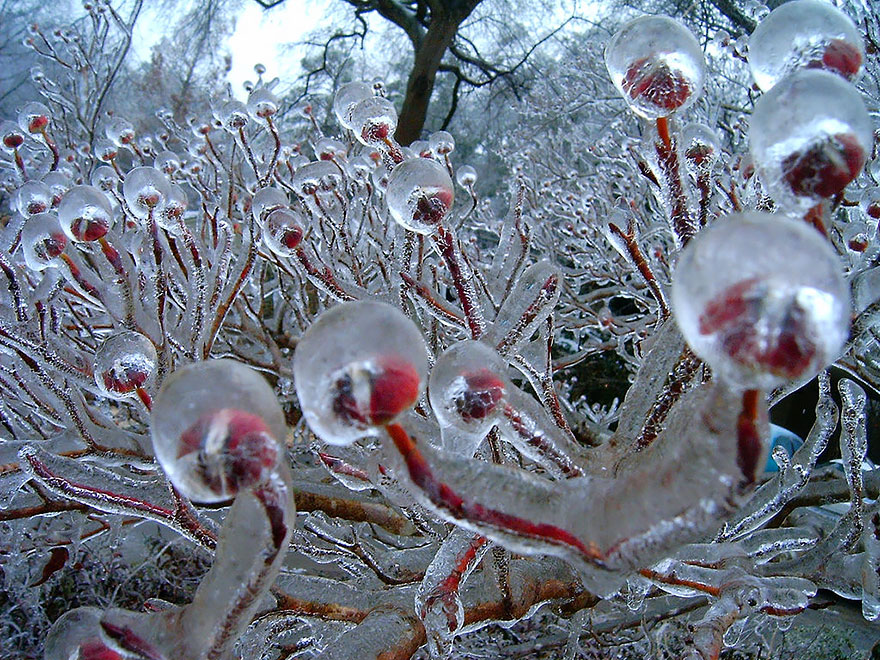 winter-art-see-the-most-amazing-ice-and-snow-formations-91139