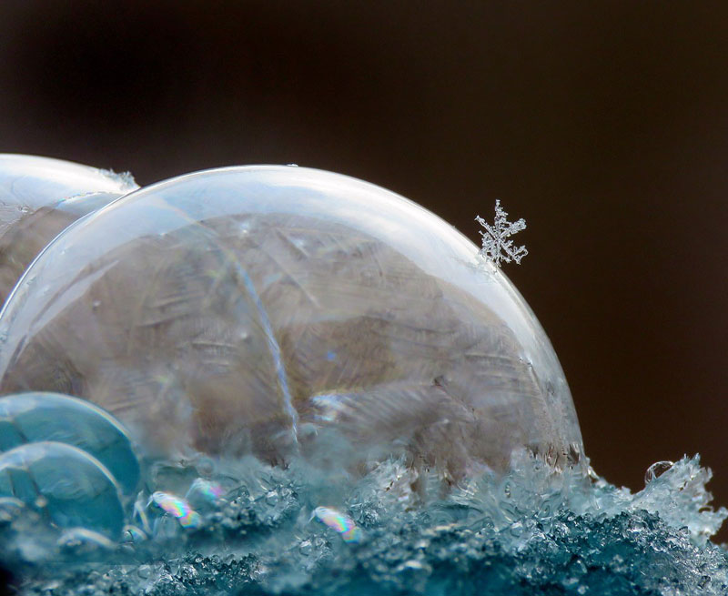 blowing-soap-bubbles-in-cold-weather-by-cheryl-johnson-13