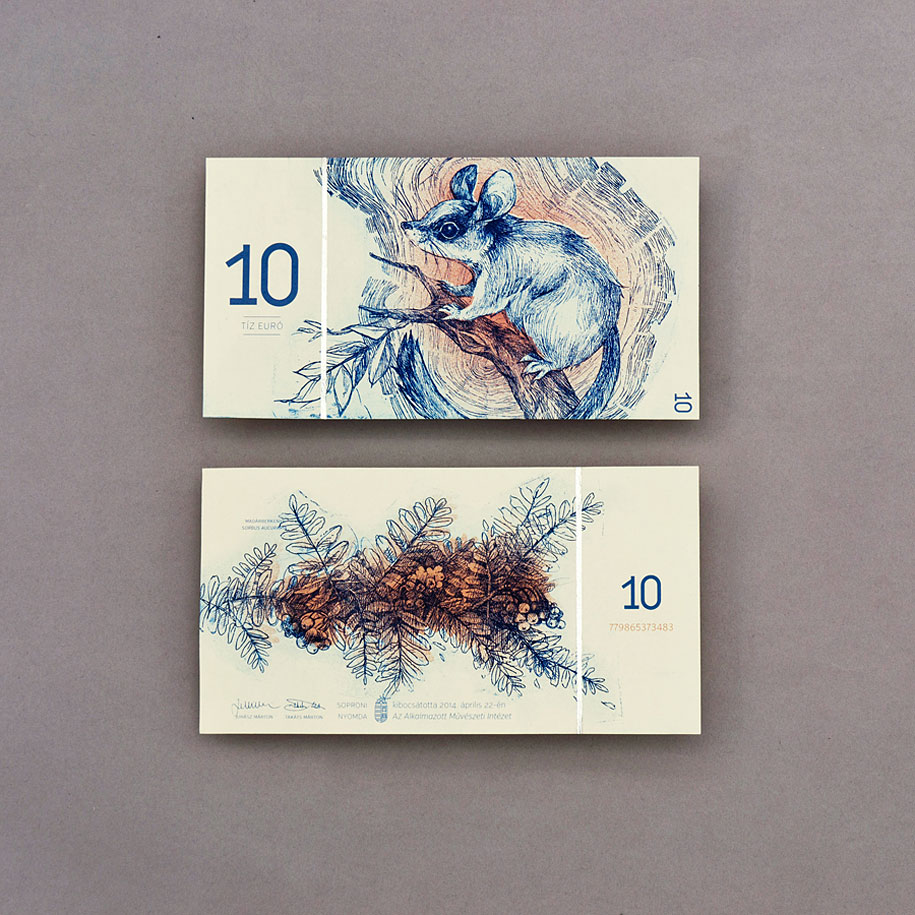 hungarian-money-concept-paper-euro-barbara-bernat-11