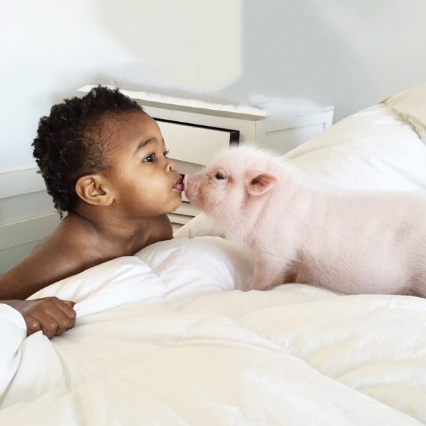 little-girl-piglet-friendship-libby-and-pearl-1-605x605