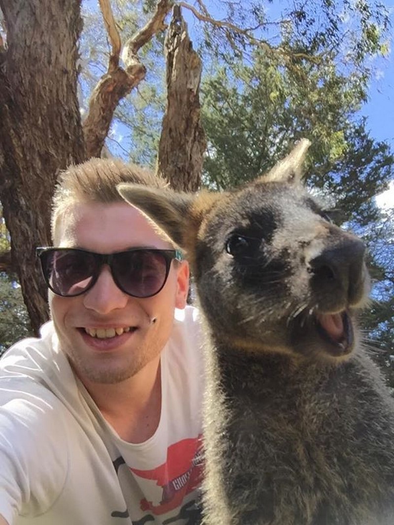 selfie-with-animals-14