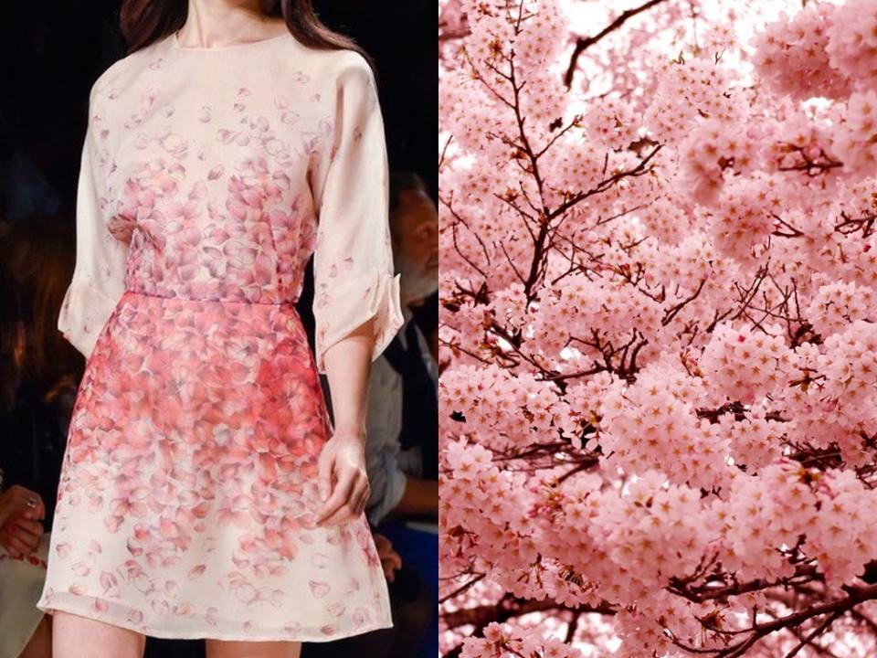 Blumarine S/S 2015 & Třešňové květy v Japonsku 