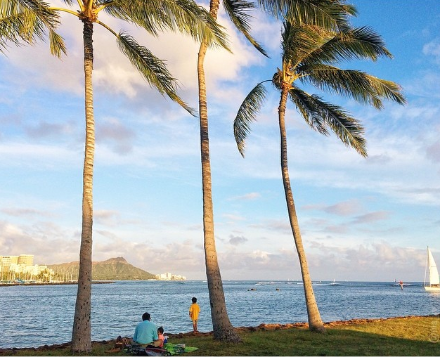 Havaj je dokonalé místo pro děti. Díky krásnému počasí mohou na pláži trávit celé dny. Pokud by jim bylo až velké horko, mohou se schovat do stínu palem.