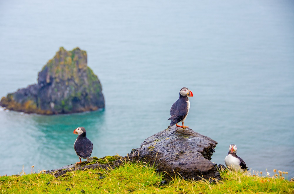Faerské ostrovy: Pohádkové místo, o kterém jste zřejmě neslyšeli
