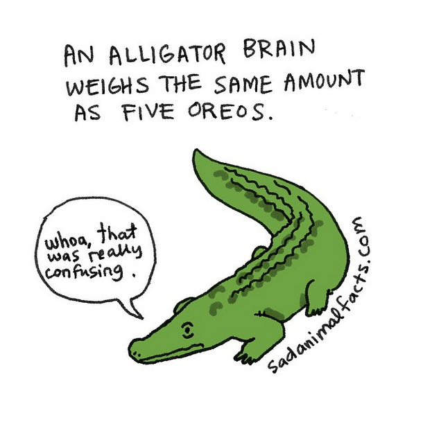 Smutná fakta o zvířatech v humorných ilustracích