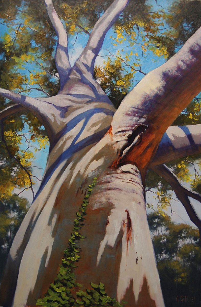 Graham Gercken - olejové malby australské přírody