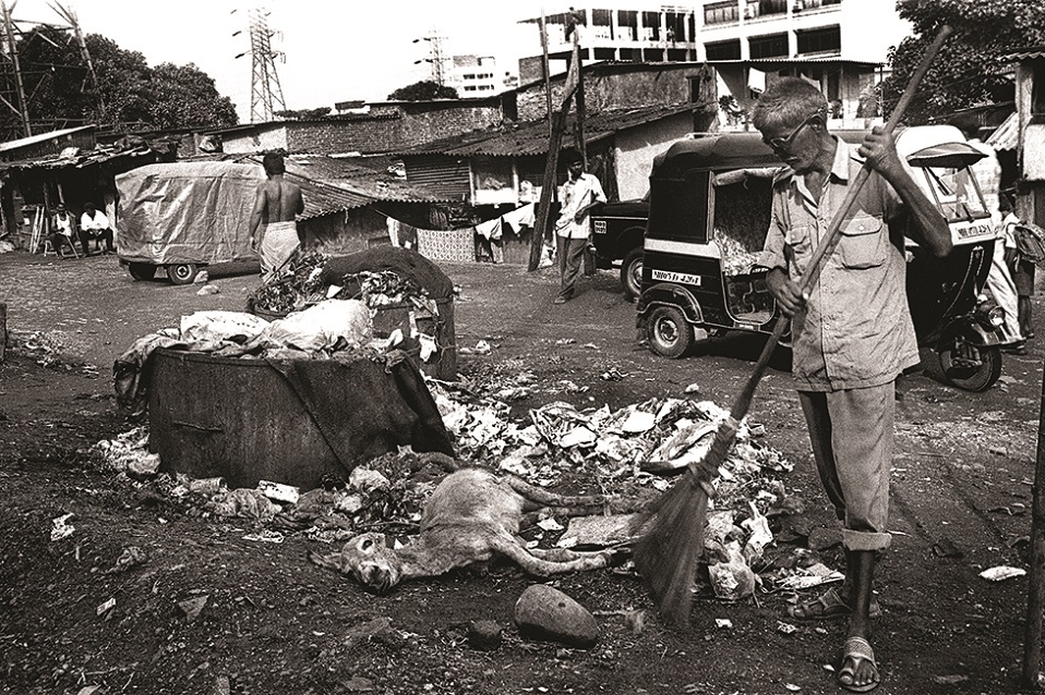 The garbage that the workers rake out includes animal carcasses, food remains, steel wires, hospital waste, jagged pieces pf wood-pipes, stone, broken glass, blades...