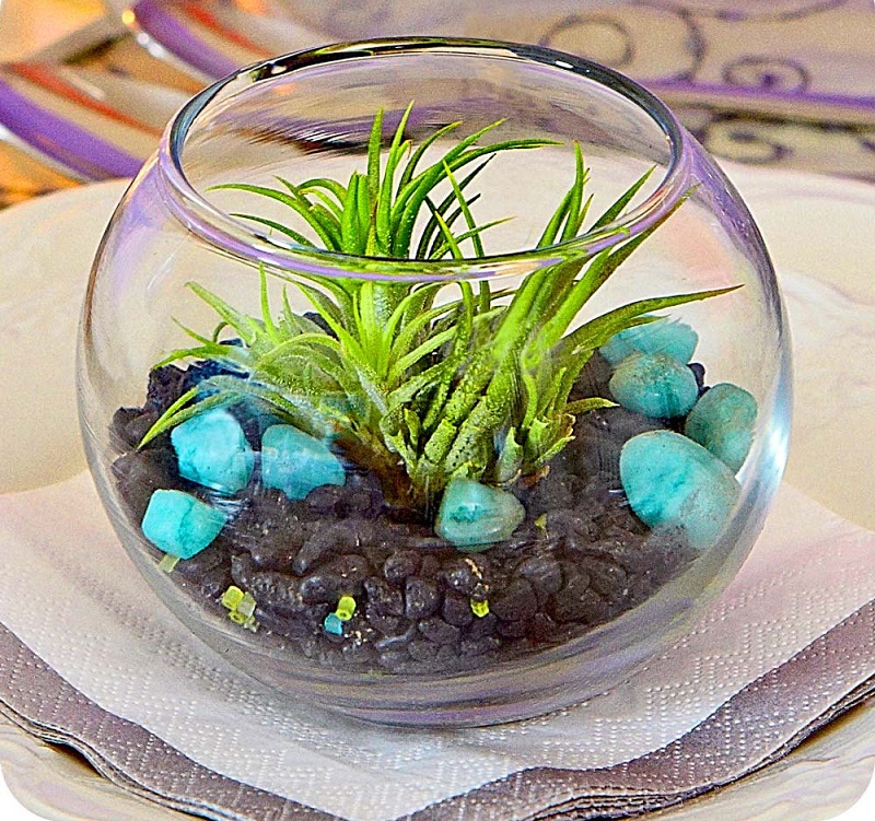 AD-Adorable-Miniature-Terrarium-Ideas-For-You-To-Try-08