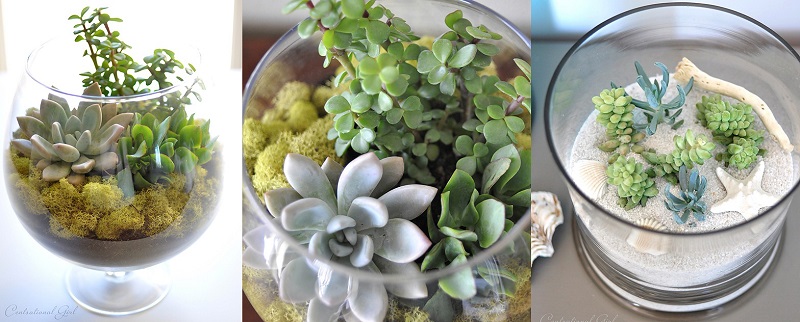 AD-Adorable-Miniature-Terrarium-Ideas-For-You-To-Try-16