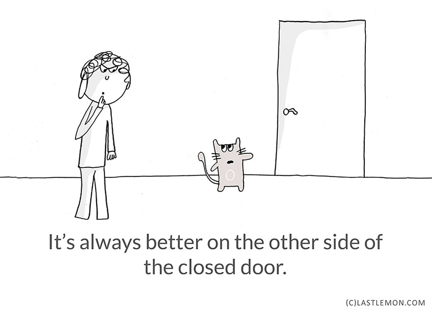 21-Hilarious-Cute-and-Insightful-Life-Lessons-from-Cats17__880