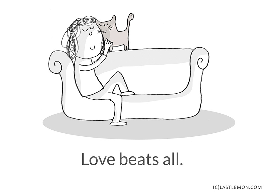 21-Hilarious-Cute-and-Insightful-Life-Lessons-from-Cats9__880