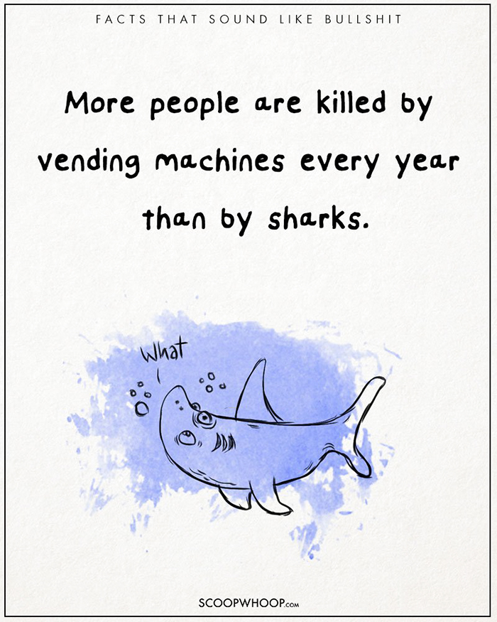 21 Více lidí ročně zabijí prodejní automaty, než žraloci.