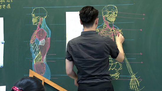 chinese-teacher-anatomical-chalkboard-drawings-2