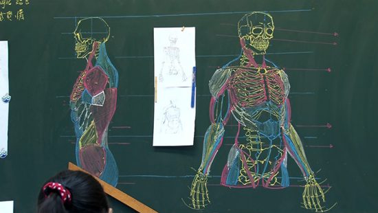 chinese-teacher-anatomical-chalkboard-drawings-3